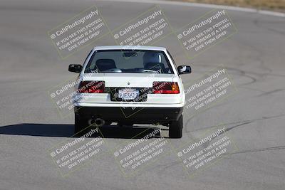 media/Nov-19-2023-Extreme Speed (Sun) [[bd0eec5490]]/Purple/Back Shots/